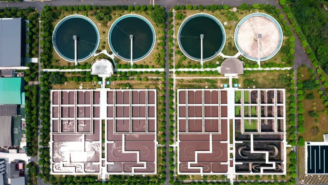 1687757578483328.jpg 1687757578483328.jpg