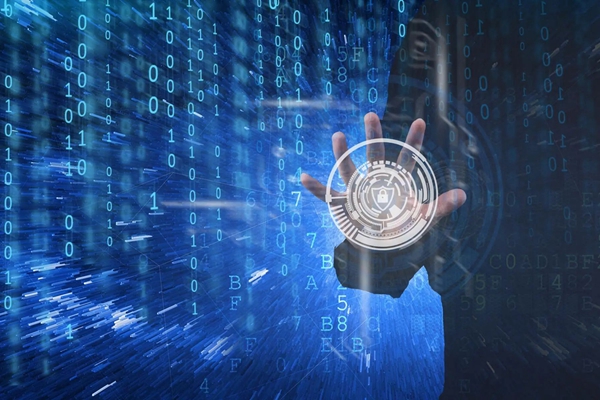 1735104874550163.jpg 微信图片_20241225133334.jpg